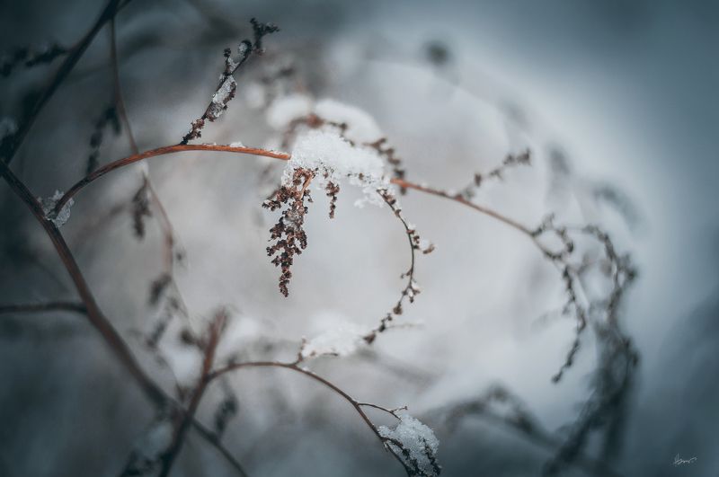 зима лес холод Зимова казка фото превью