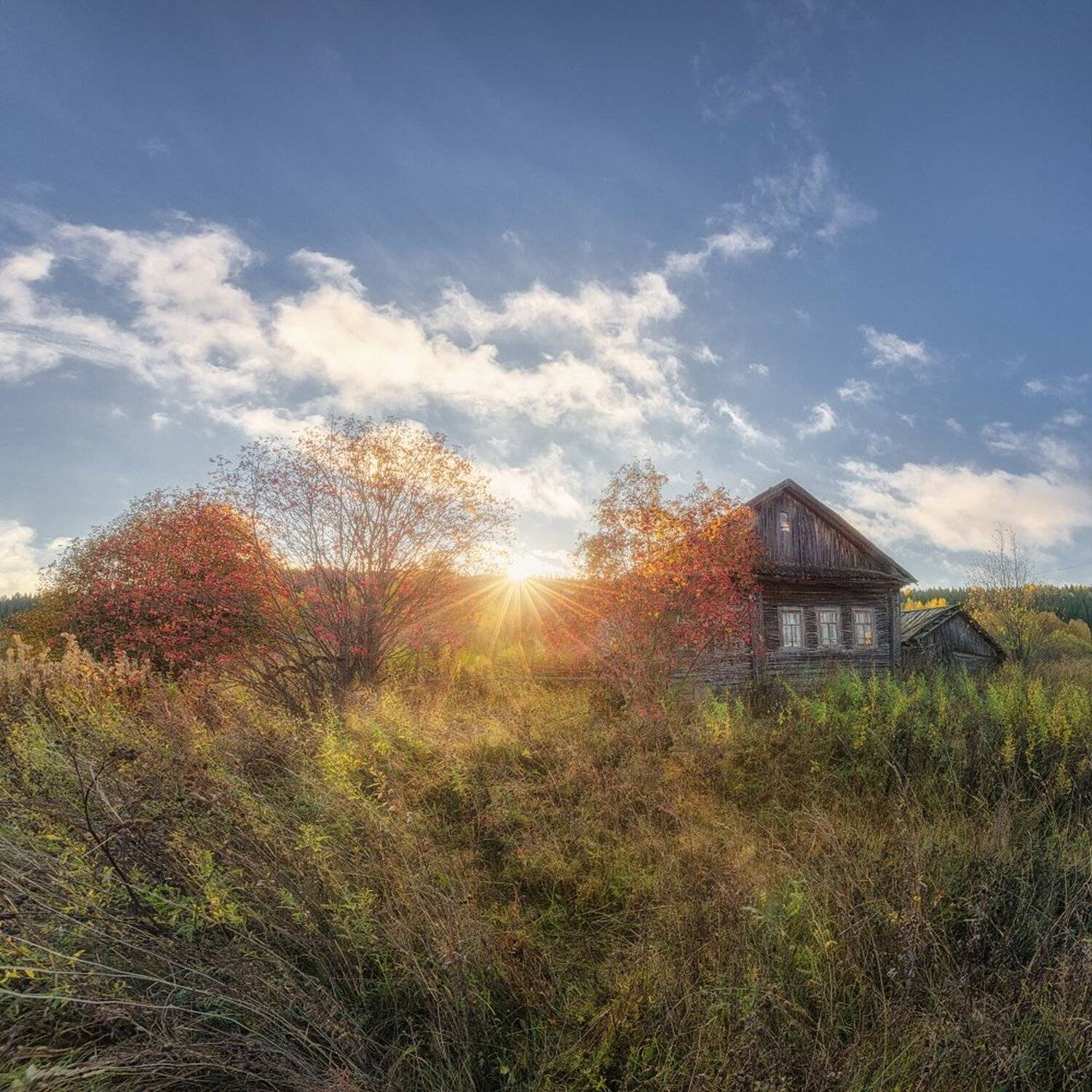 , Устюжанин Михаил