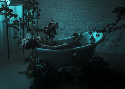 IVY