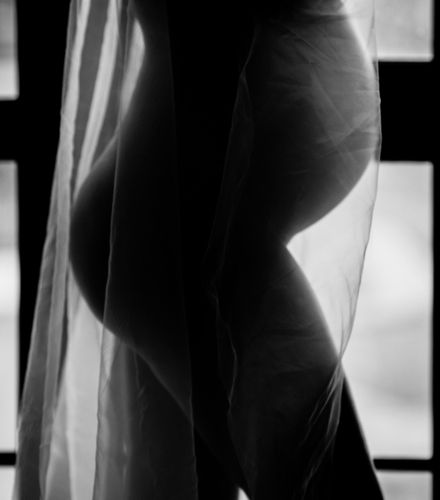  Venus