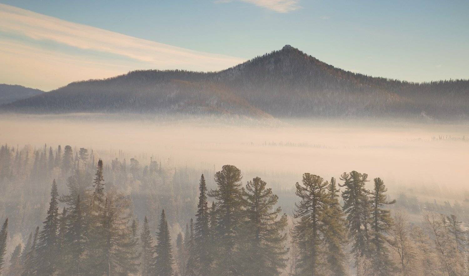 , Константин Буркин