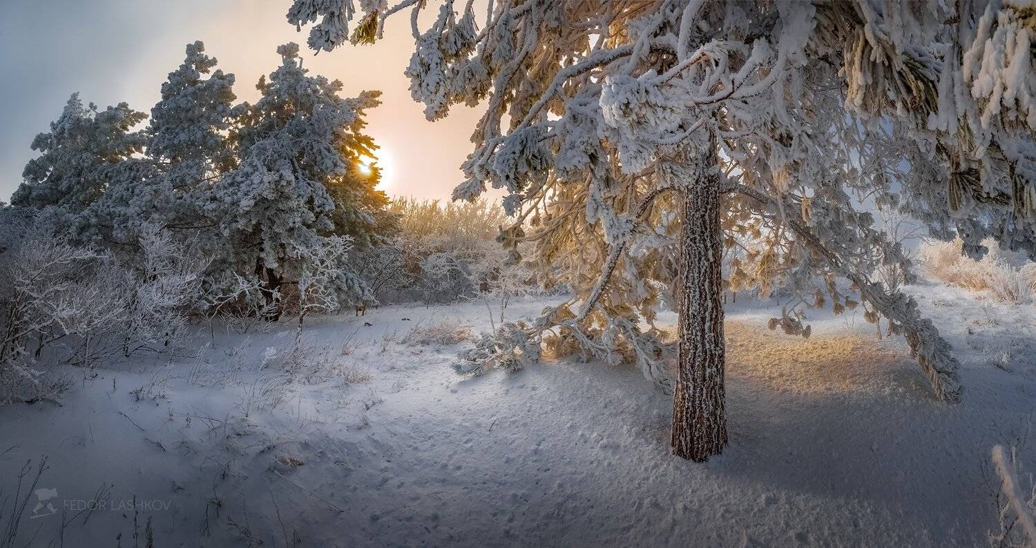 ставропольский край, фотоальбом, ставрополье, зима, иней, лес, сосна, гора, брык, закат, Лашков Фёдор
