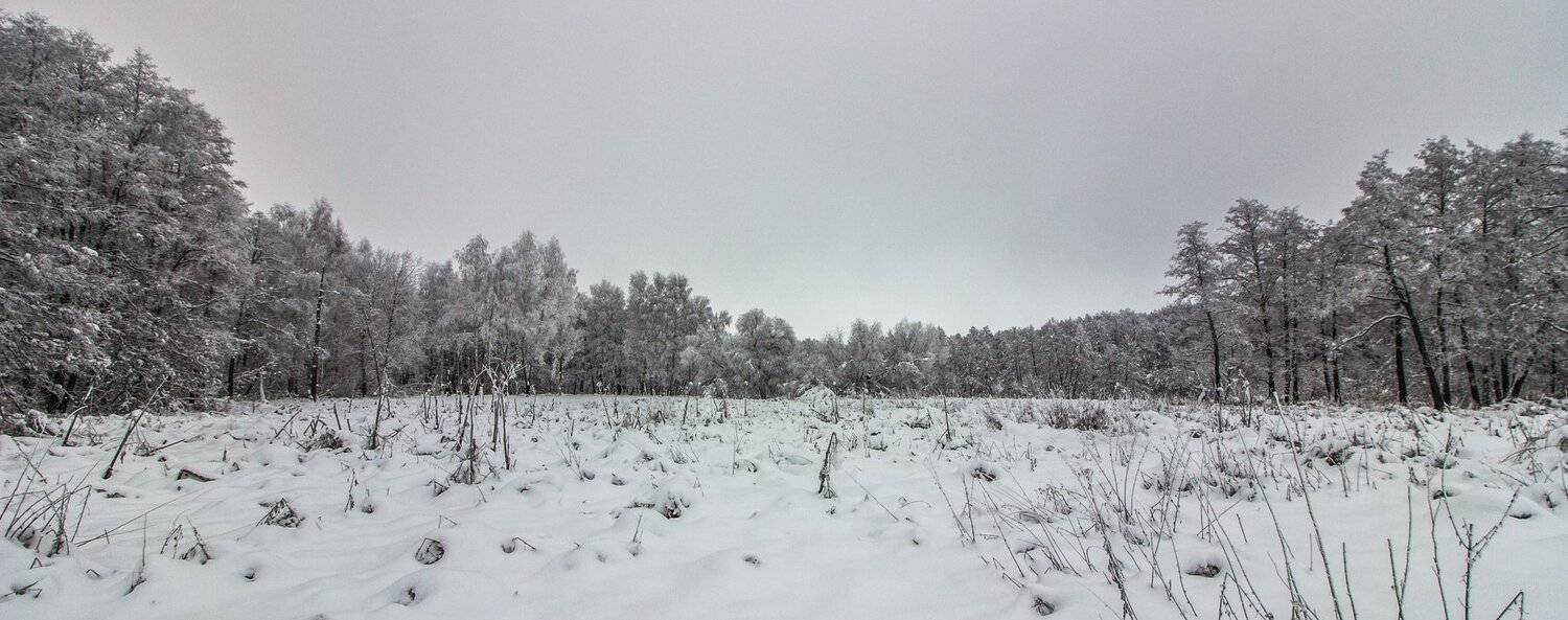 лес, зима, снег, Руслан Востриков