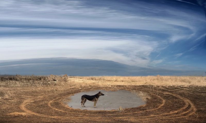 ХАДЖИБЕЙ фото превью