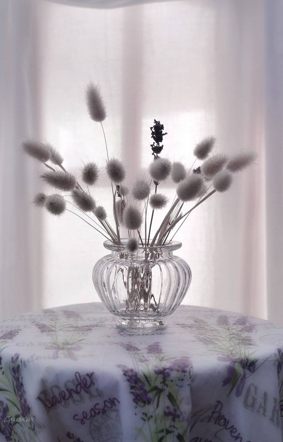 натюрморт,стекло,свет,сухоцвет,утро,окно, Инаида