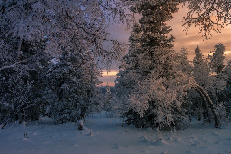 ******* фото превью