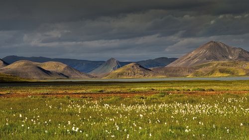 After rain. Iceland