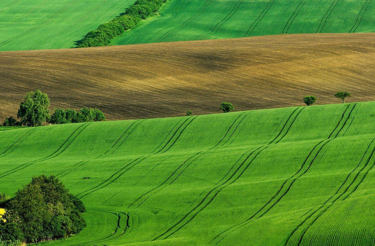 , Sławek Przybylski