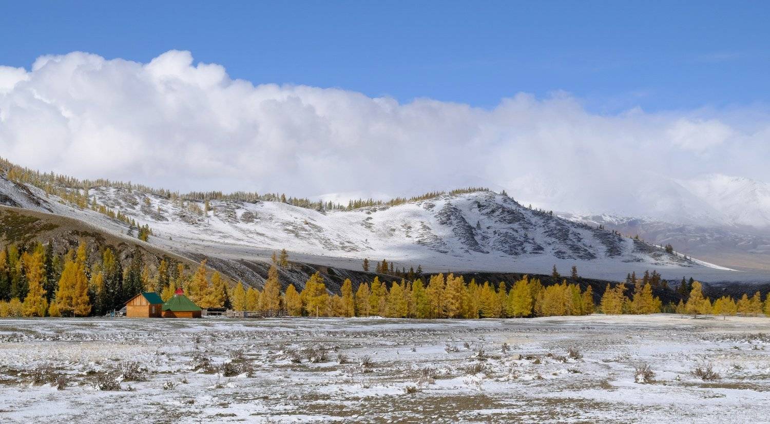 , Ольга Челдыкова