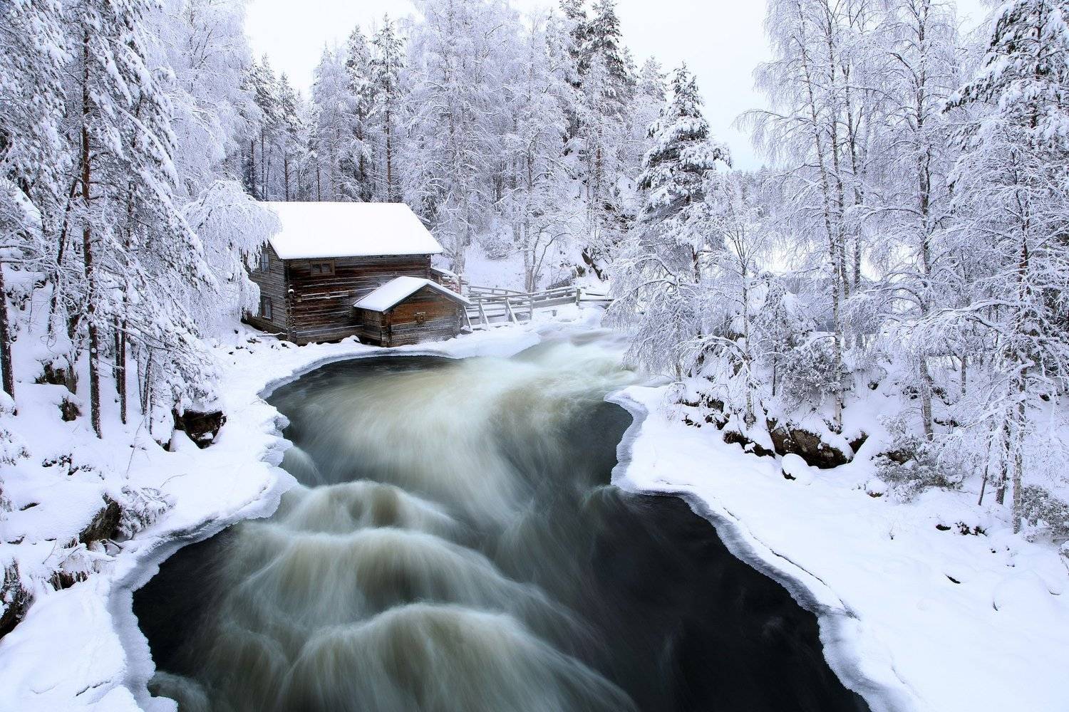 , Татьяна Проценко