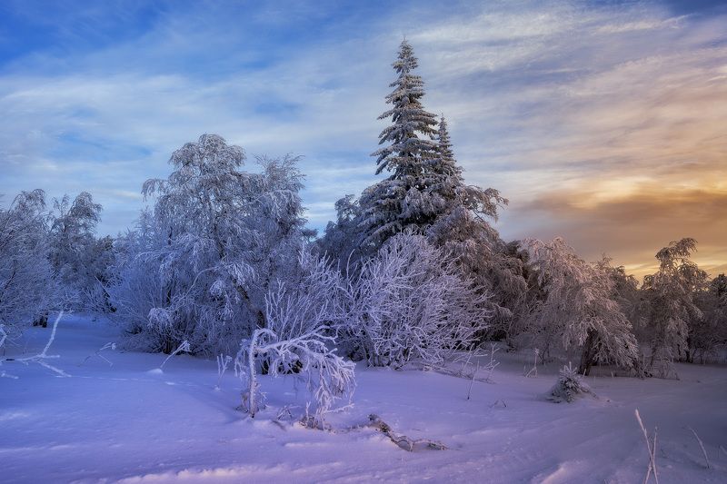 ******* фото превью