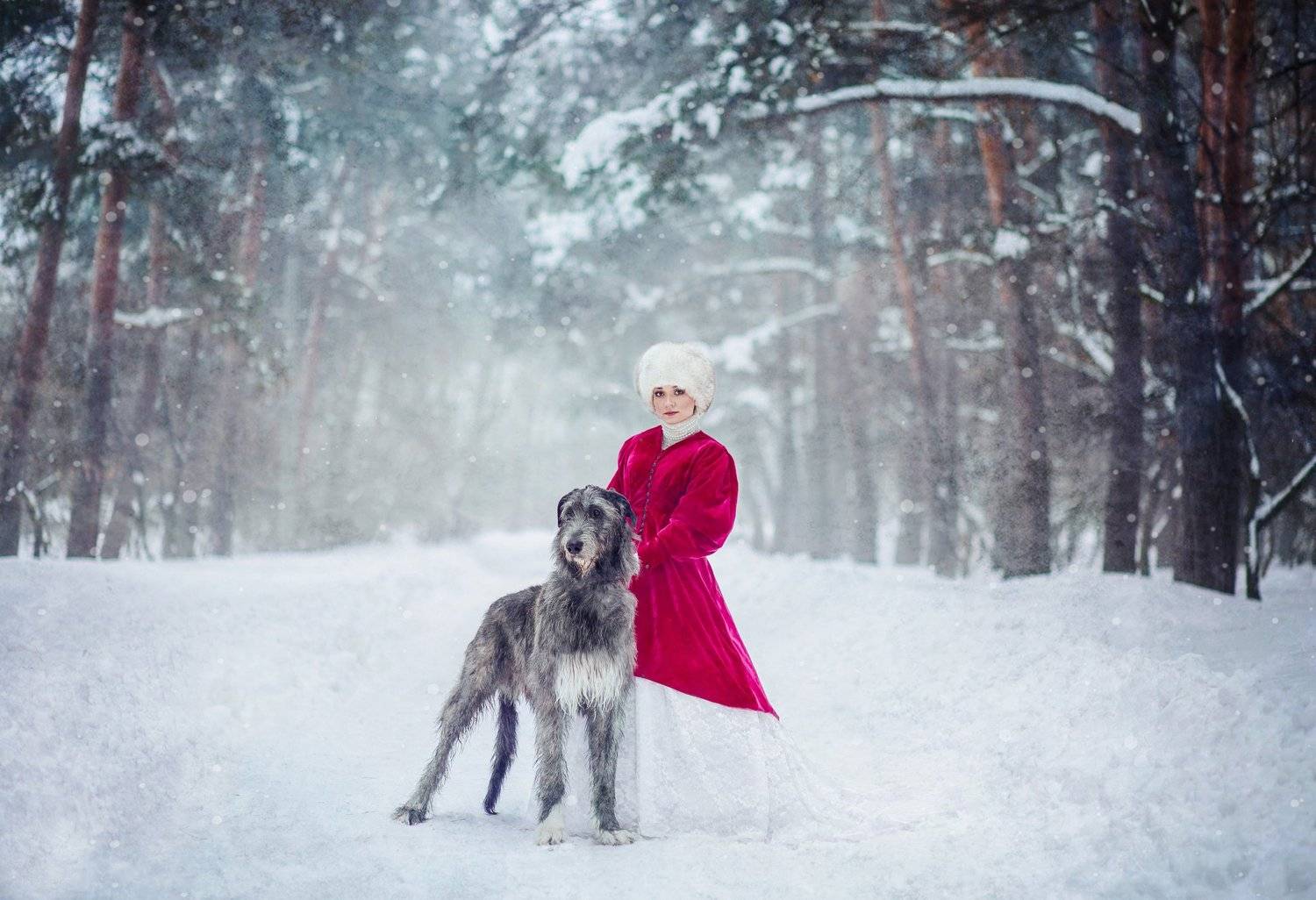 зима, самовар, рыженькая, лошадь, снег, мороз, сказка, собака, собаки, ирландец, ирландскийволкодав, Биличенко Оксана