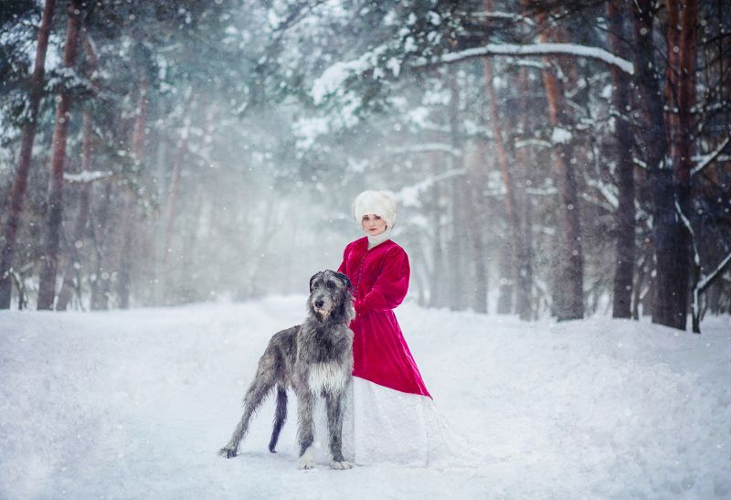 зима, самовар, рыженькая, лошадь, снег, мороз, сказка, собака, собаки, ирландец, ирландскийволкодав *** фото превью