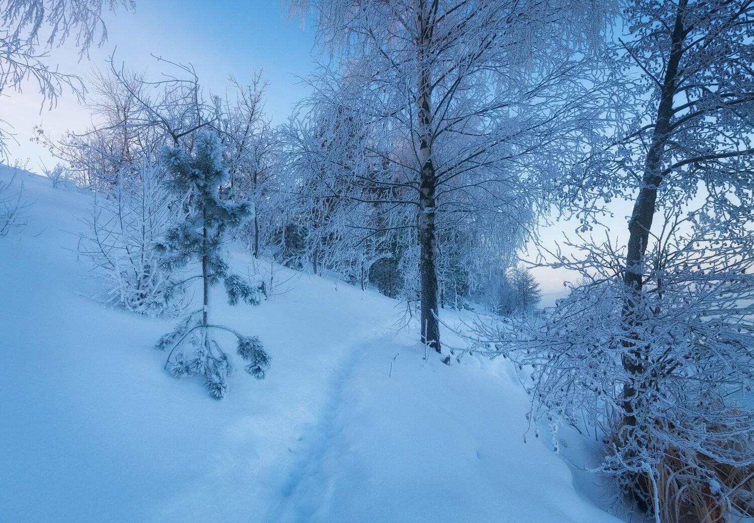 солнце, россия, рассвет, природа, подмосковье, погода, пейзажи, пейзаж, отражение, наукоград, красота, дубна, вода, весна, weather, water, spring, russia, reflection, naukograd, nature, moscow, landscape, dawn, canon dubna, beauty, Андрей Олонцев