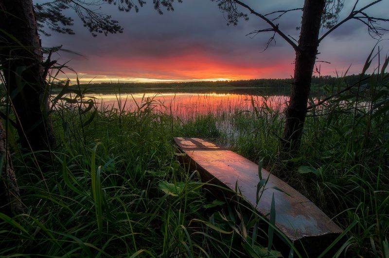 пейзаж, закат, лодка В густой траве фото превью
