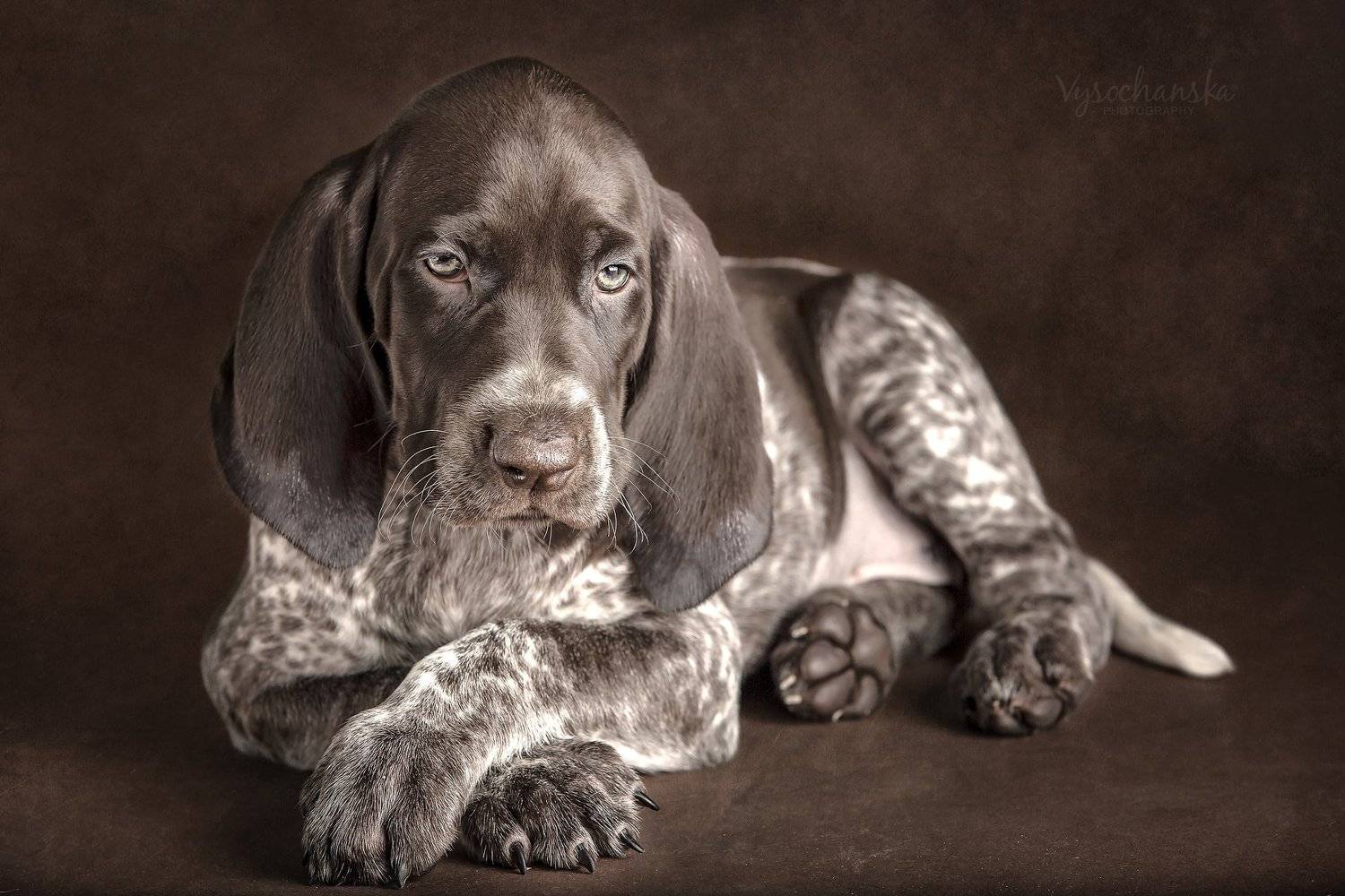 , Tetyana Vysochanska