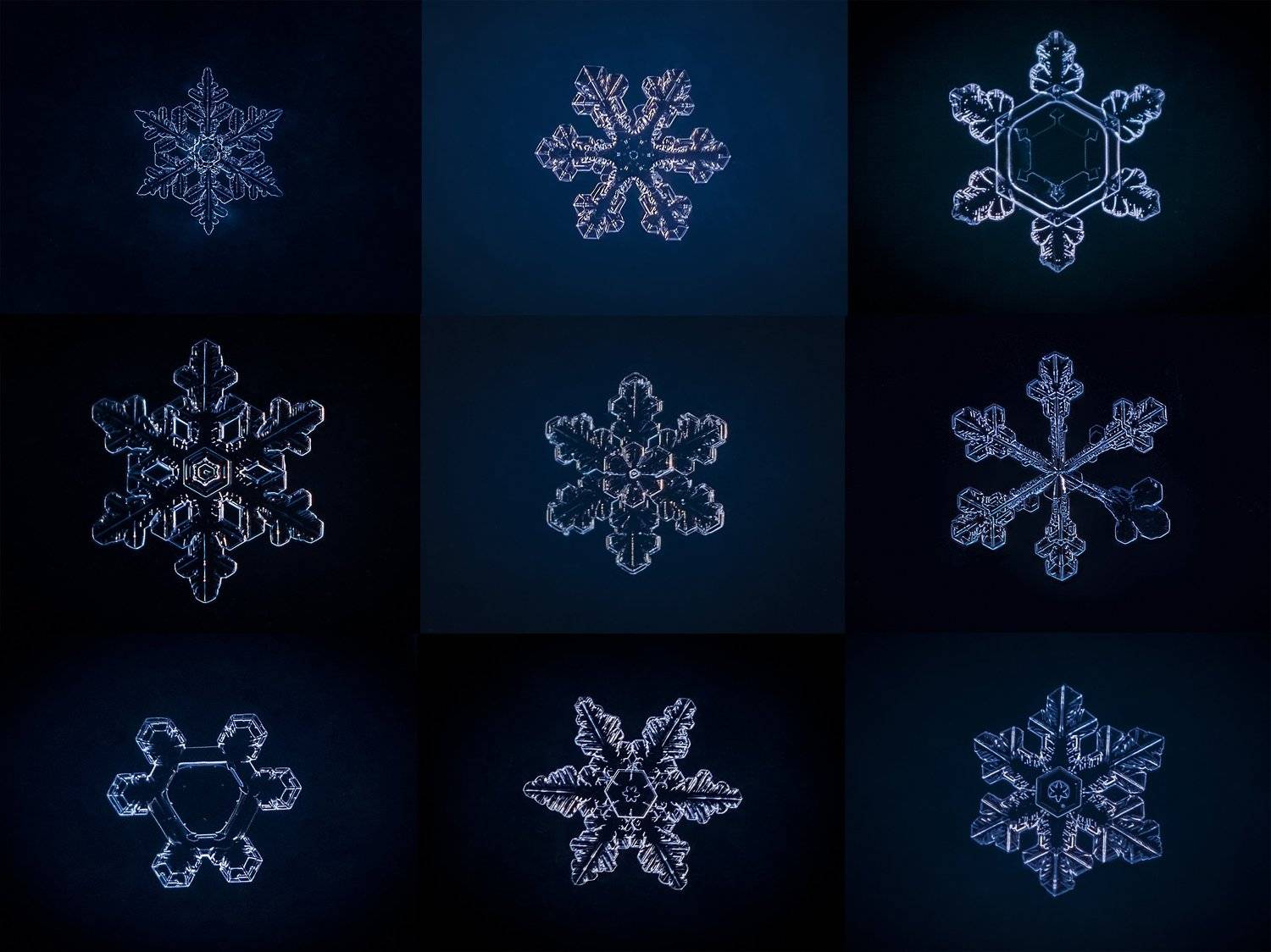 , Евгения Муравская