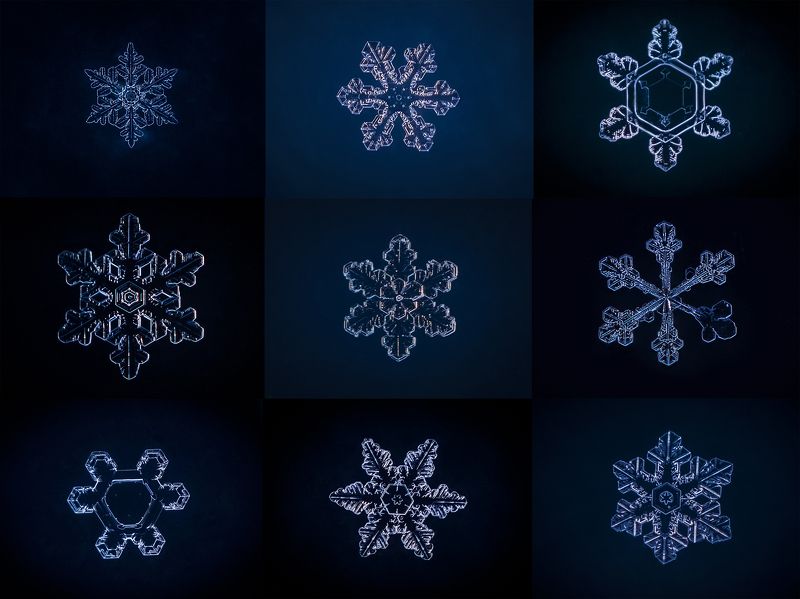 Цвет настроения  - зимний! фото превью