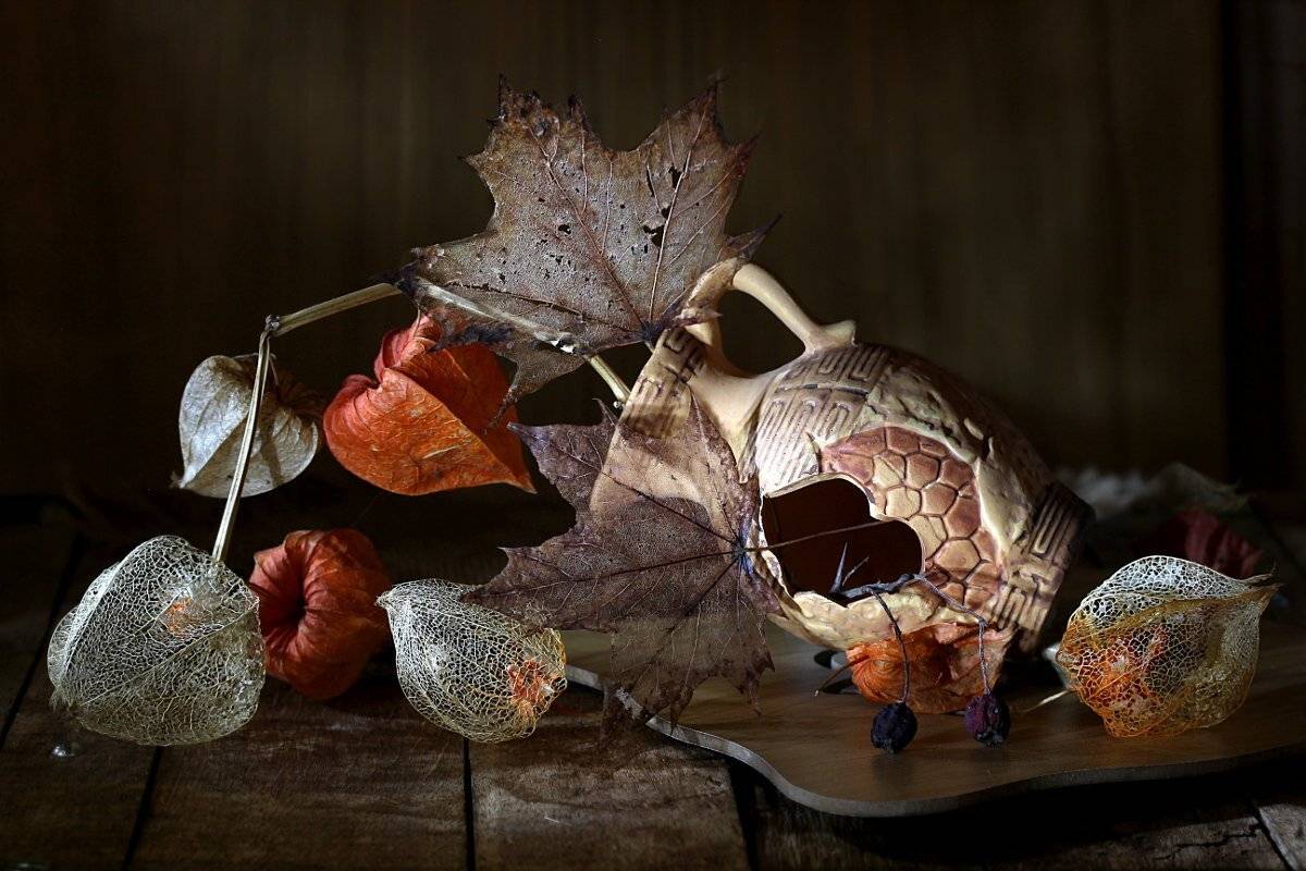 натюрморт, кувшин, физалис, листья, Шруб (Беляева) Татьяна