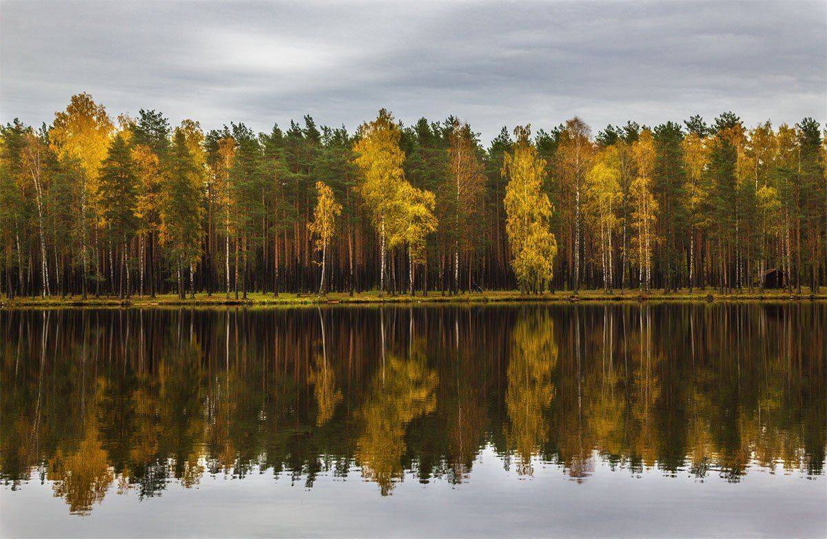, Алексей Герасимов