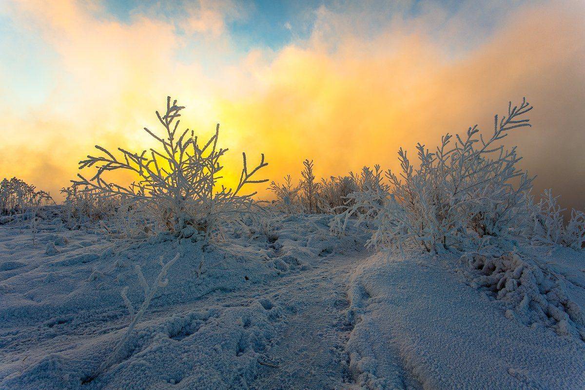 , Комеров Роман