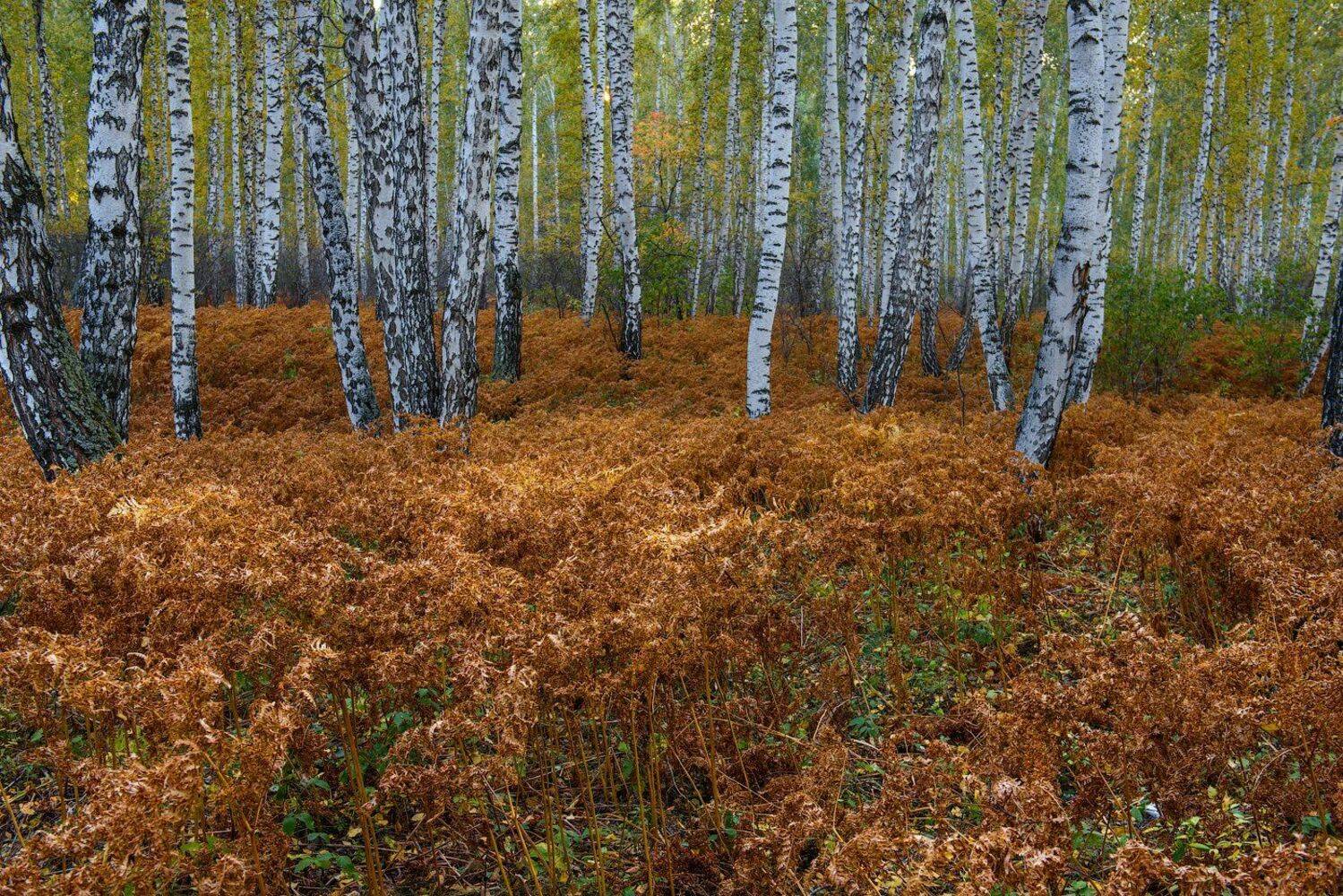 , Кутыгин Эдуард