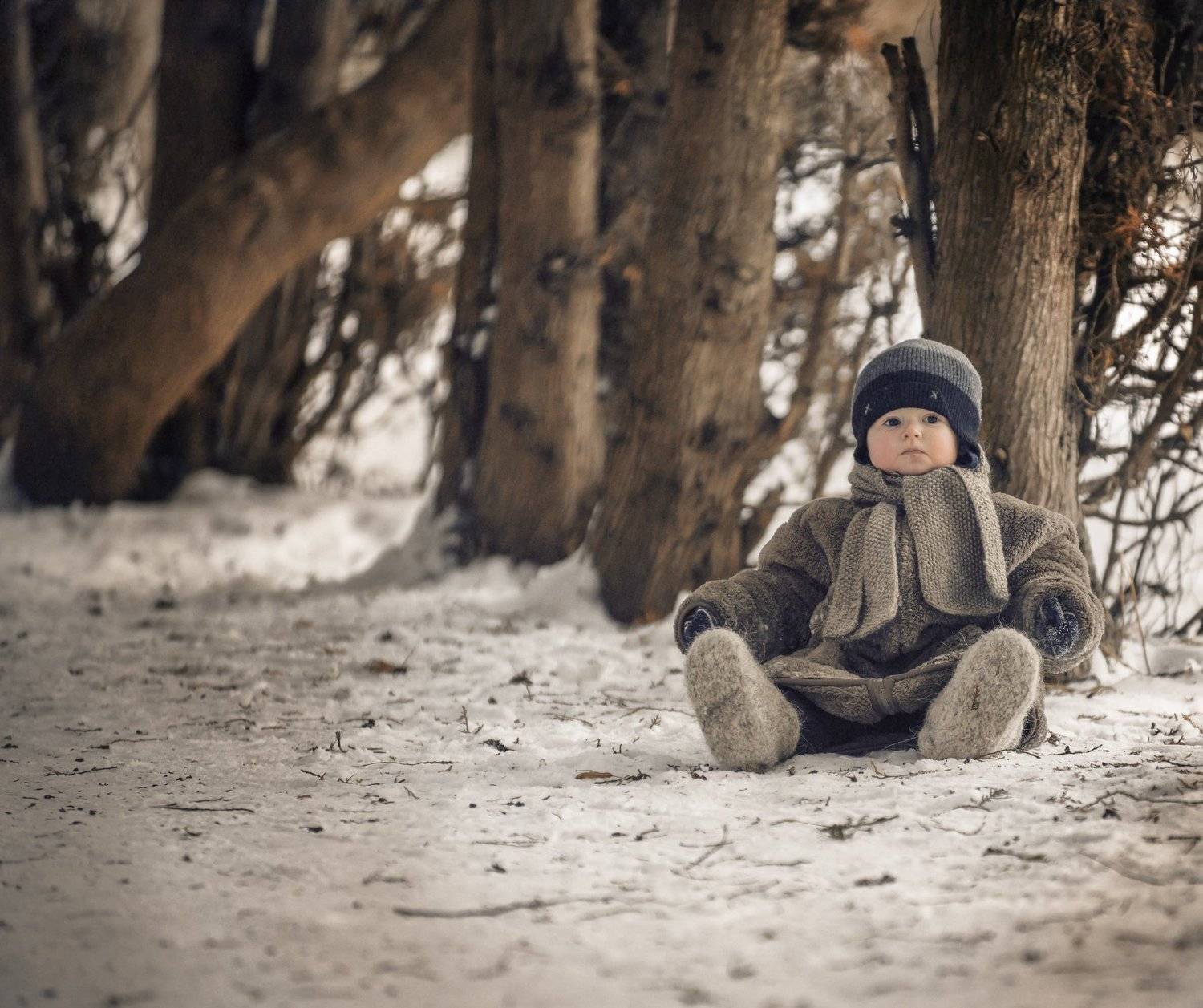 , Владимир Никитин