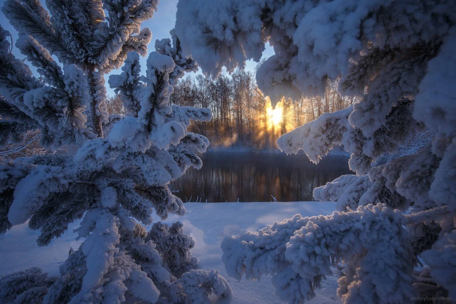 , Андрей Базанов