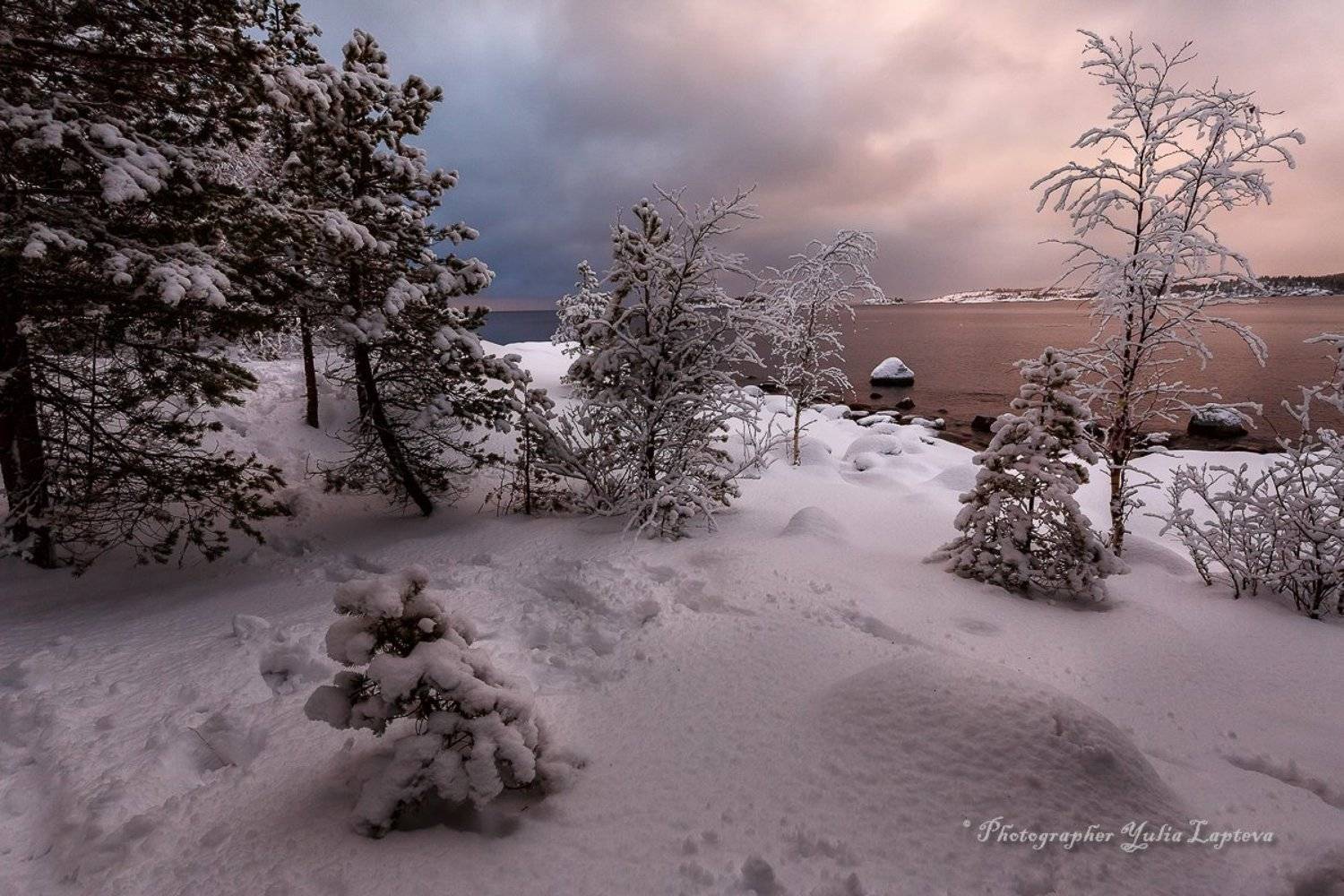 пейзаж,зима,природа,карелия,сосны,красота,декабрь, Юлия Лаптева