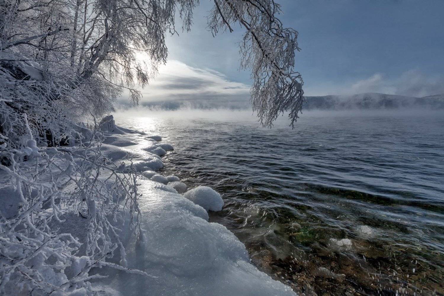 , Матвей Белый