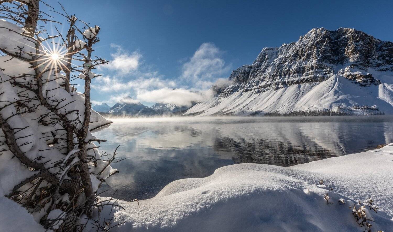 , Александр Лозицкий