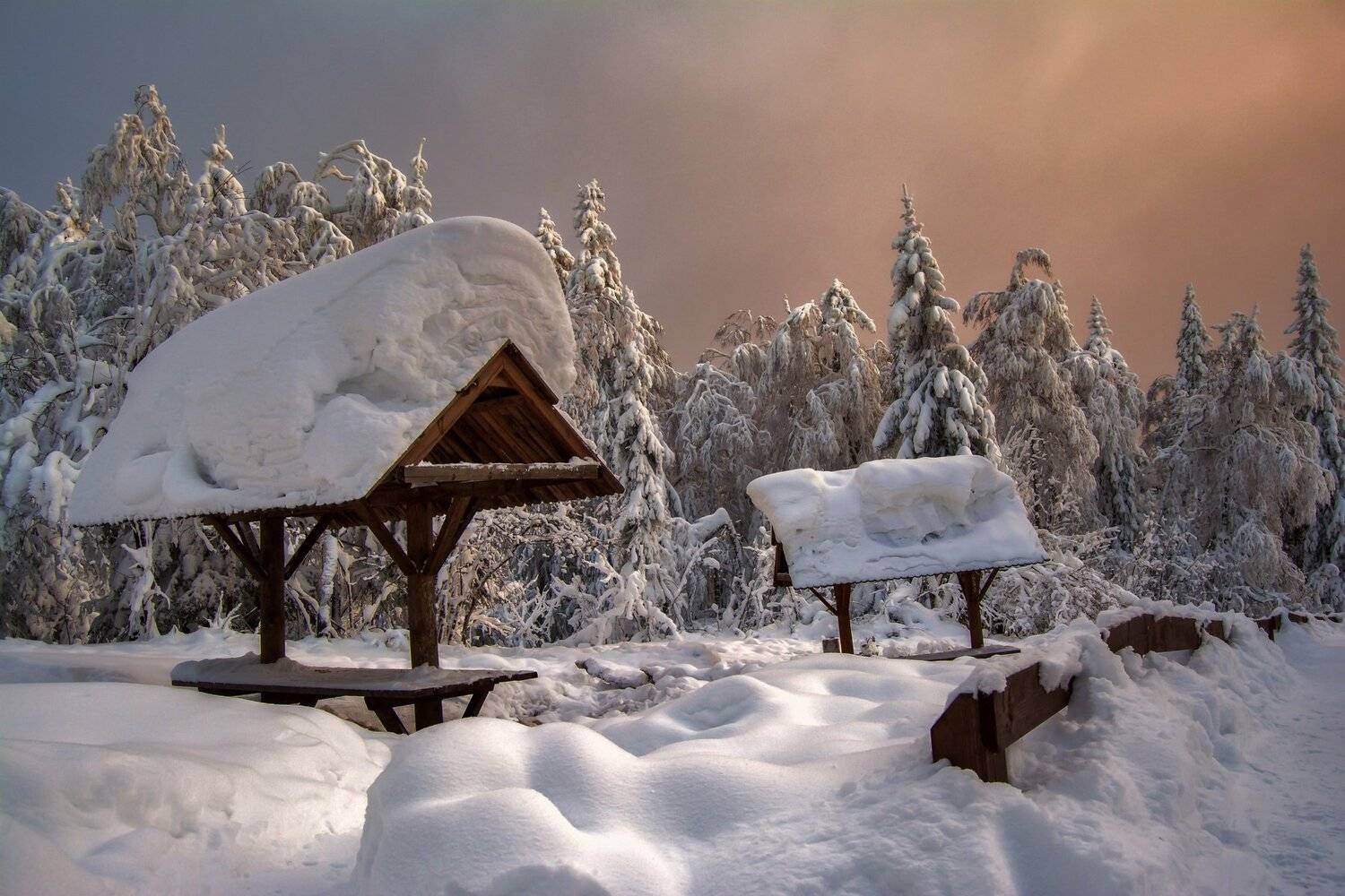 , Андрей Шарапов