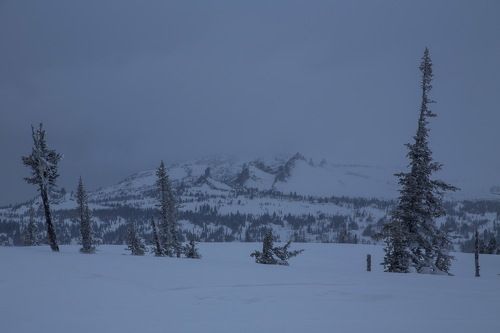 Сибирские склоны Горной Шории.