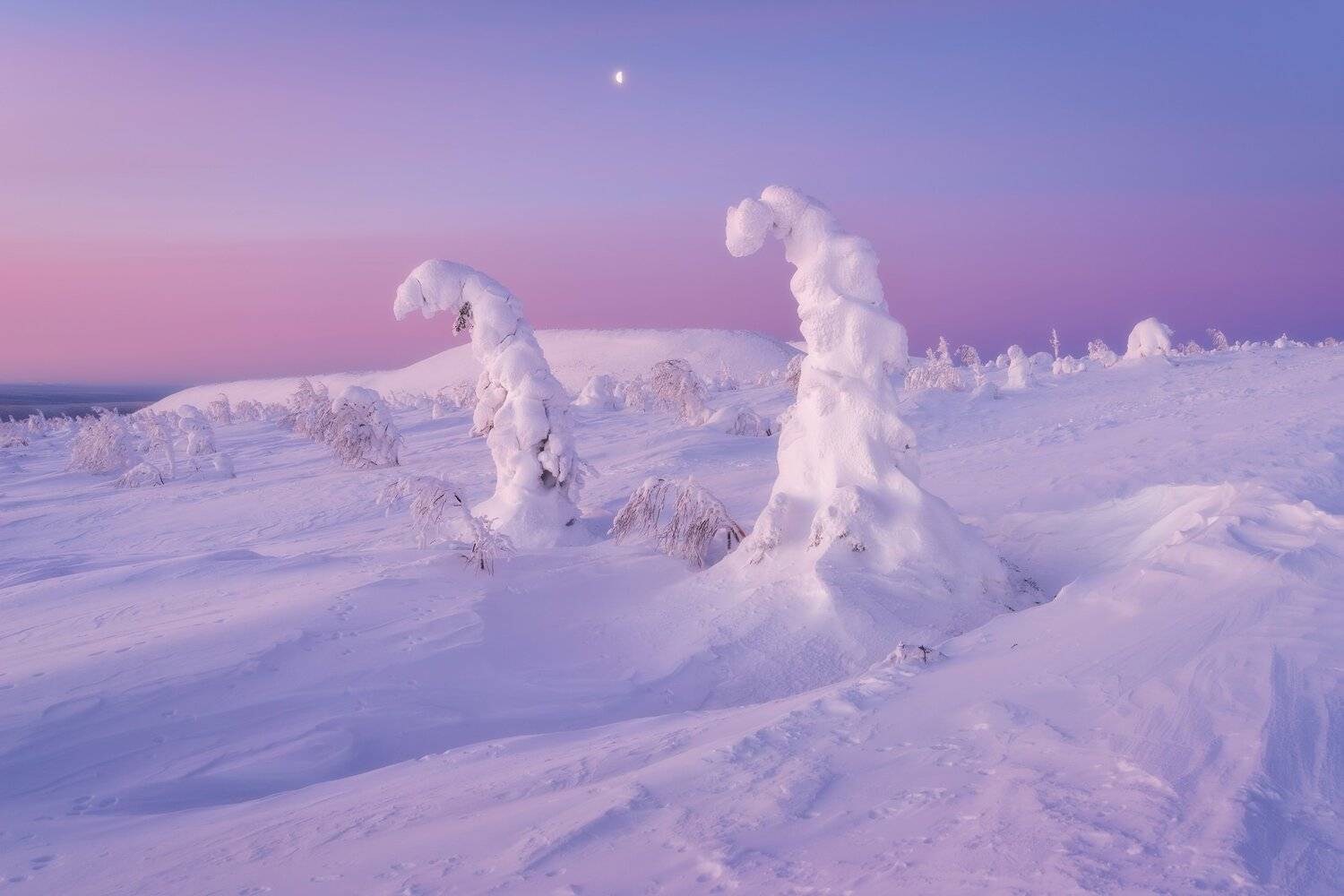 , Михаил Туркеев