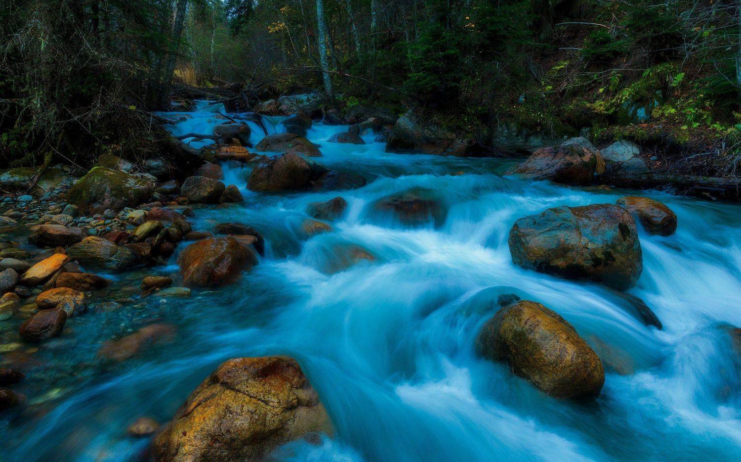 , Alexander Plekhanov