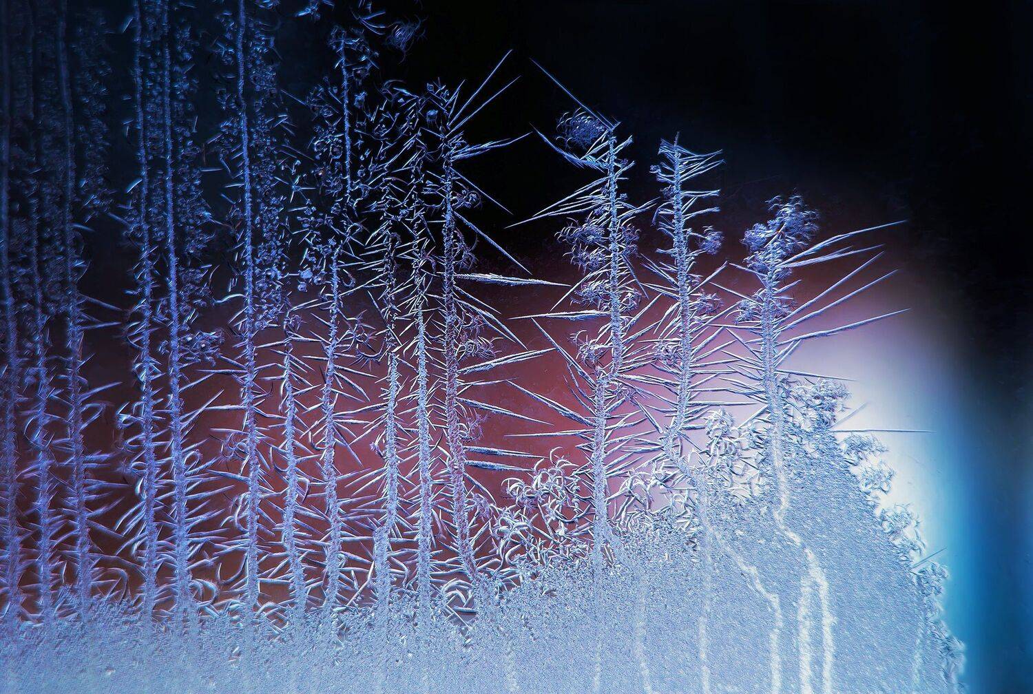 , Павел Сагайдак