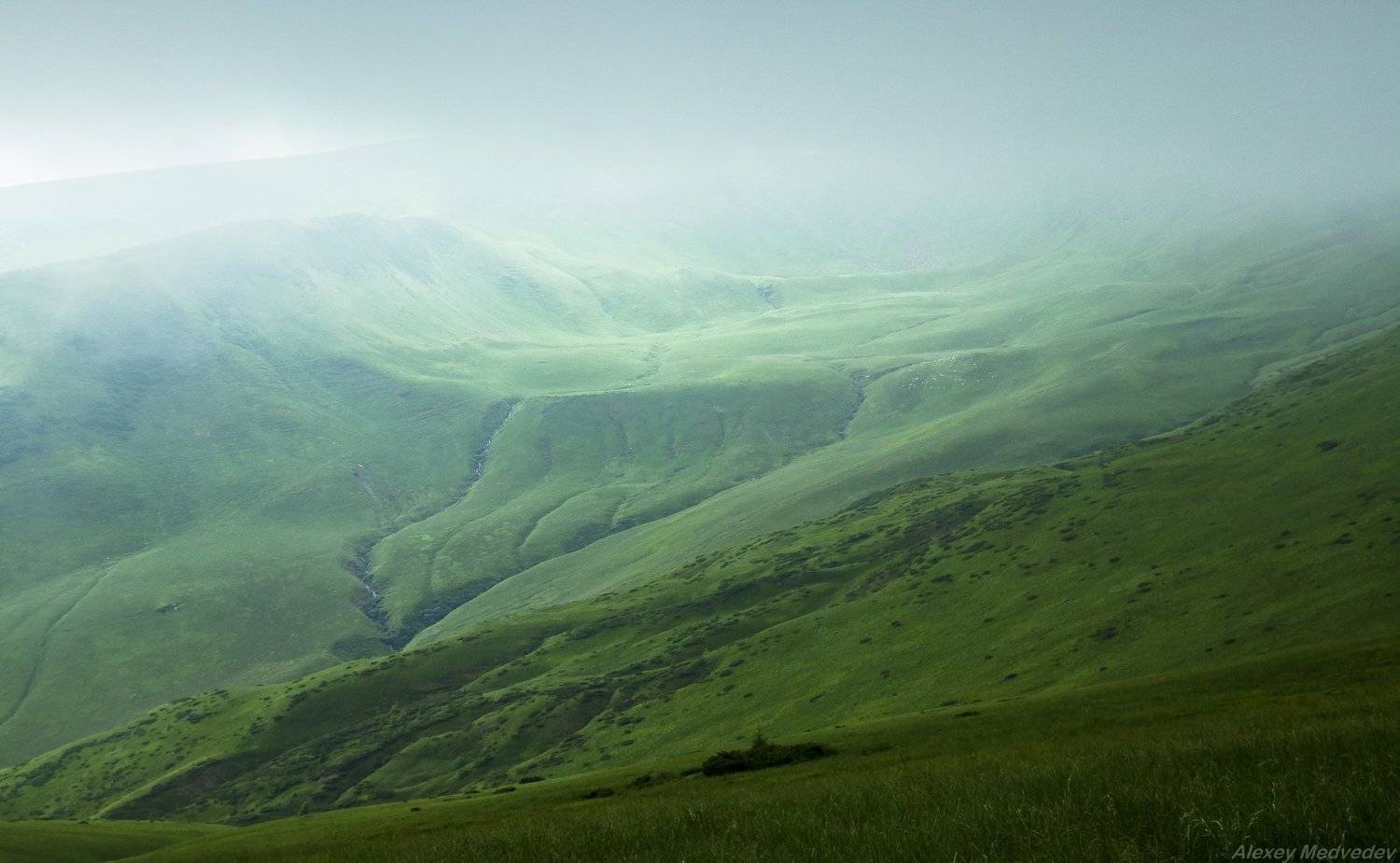 Карпаты, Украина, Свидовец, Алексей Медведев