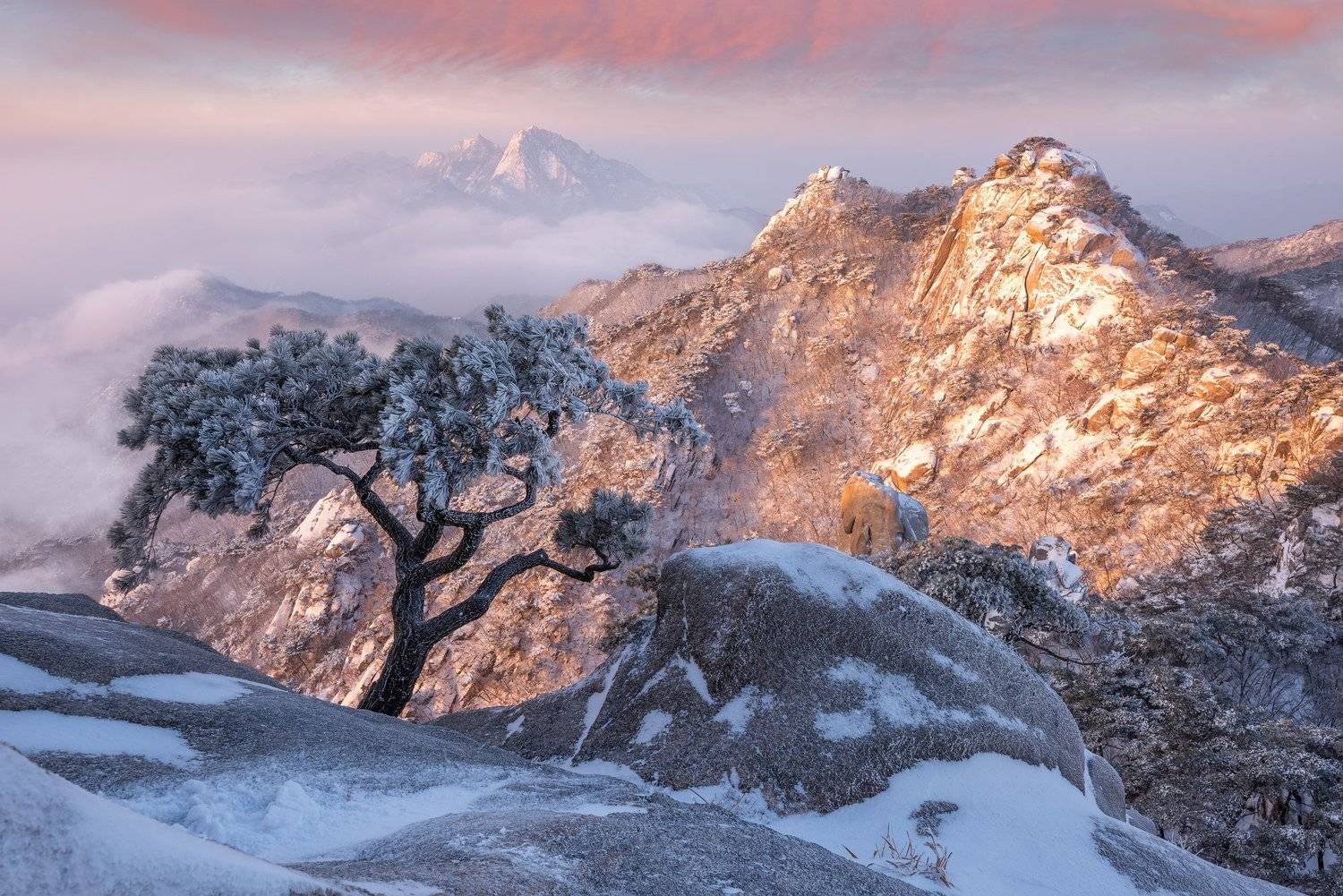 top of a mountain, Bukhansan, mountains, winter, pine, Jaeyoun Ryu