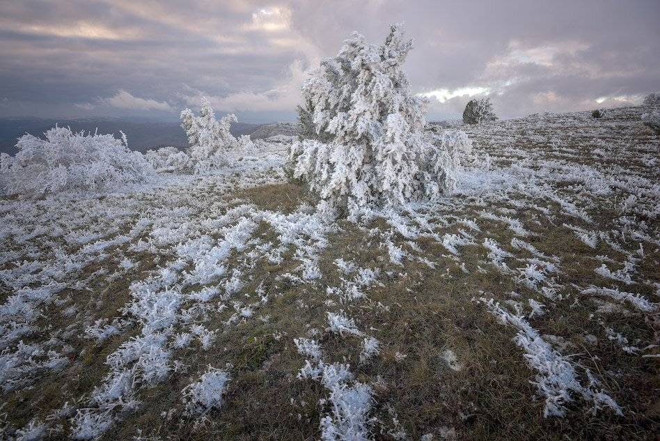 , Андрей Гусаченко