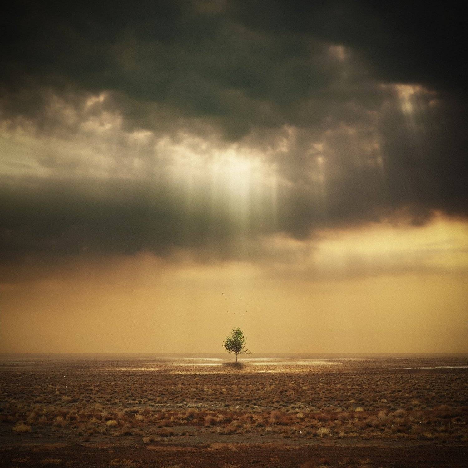 , Hossein Zare
