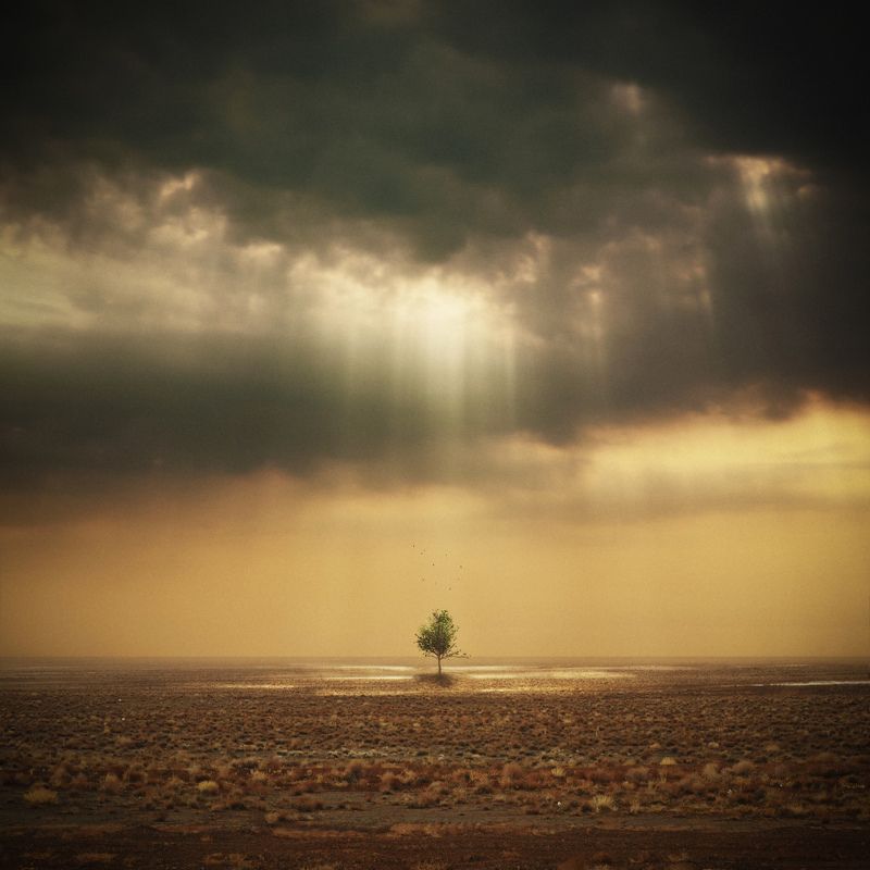 Hope...