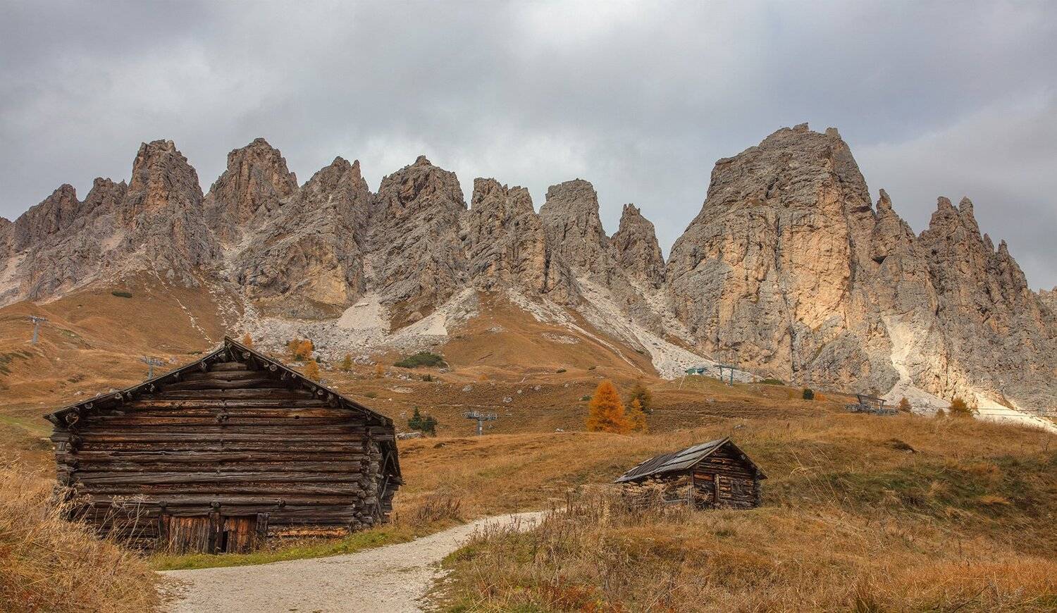 , Игорь Дубровский