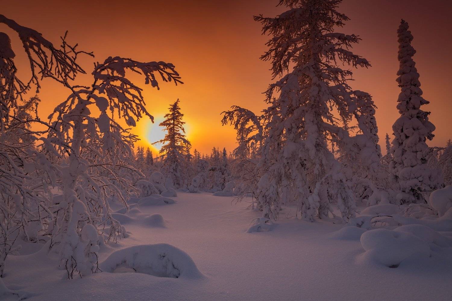 , Евгений Кужилев