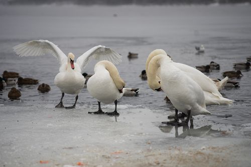 Зима. минус 10 на дворе...