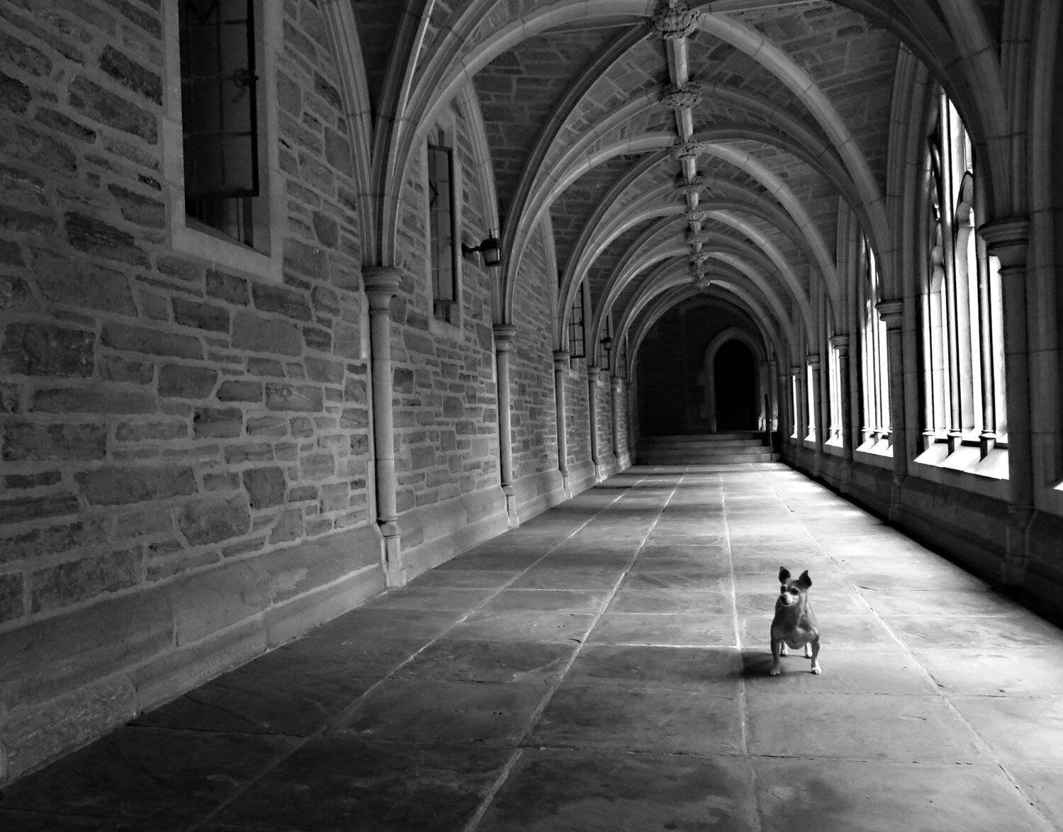 ч/б перспектива, isamonov