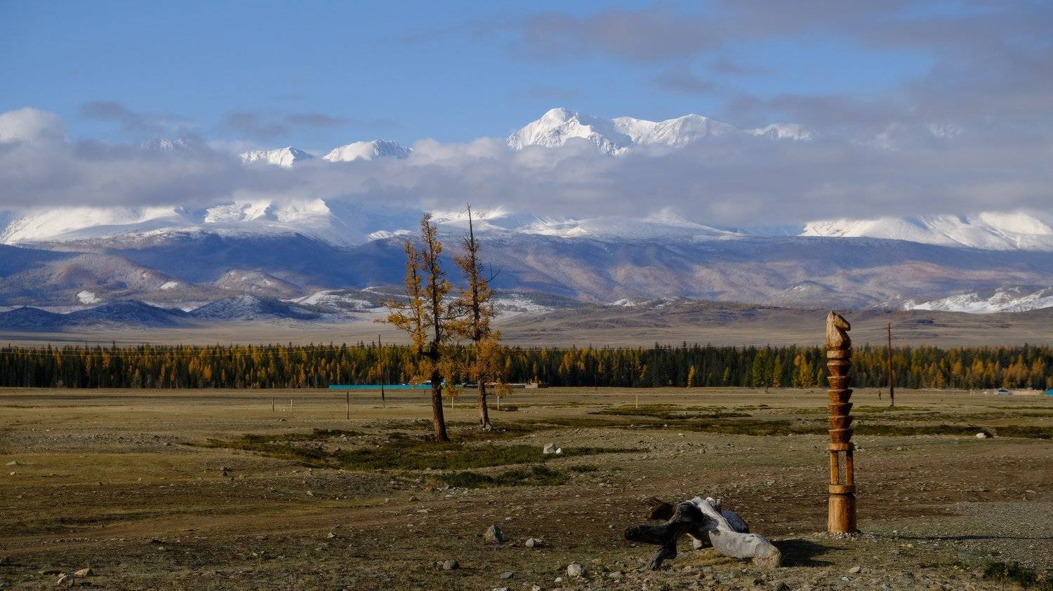 , Ольга Челдыкова