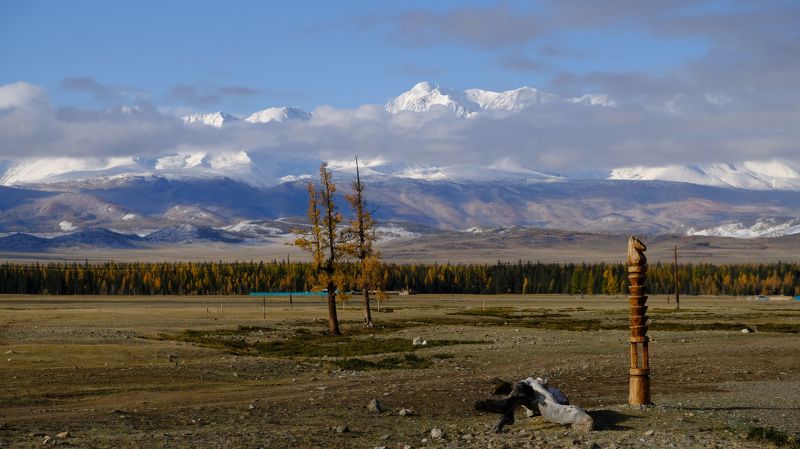 В Курайской степи фото превью