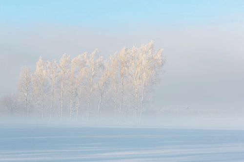 Зимний кайф