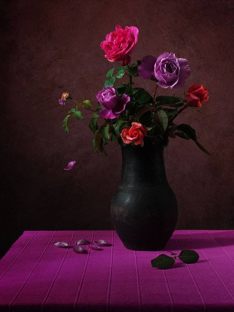 , Анжелика Королева