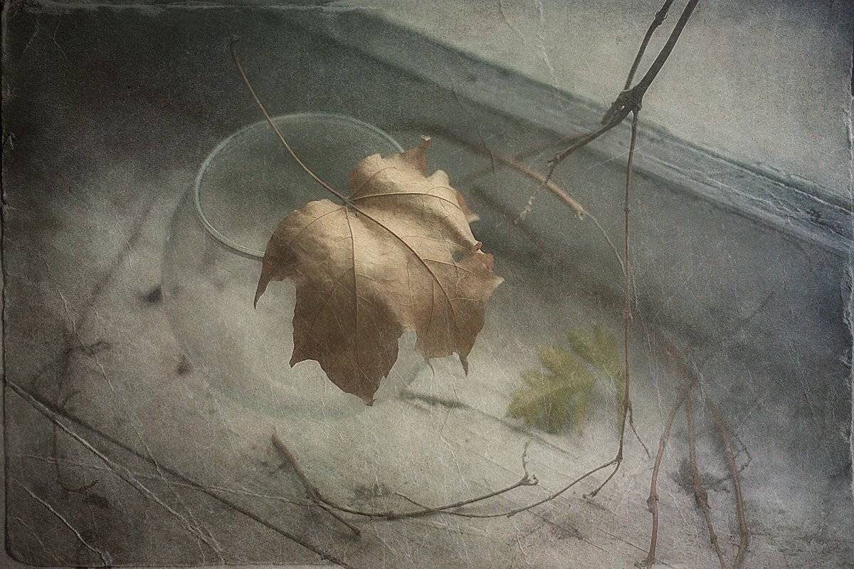 , Александр Хромеев